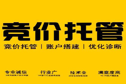 竞价广告策略：网络推广在旅游行业的运用案例